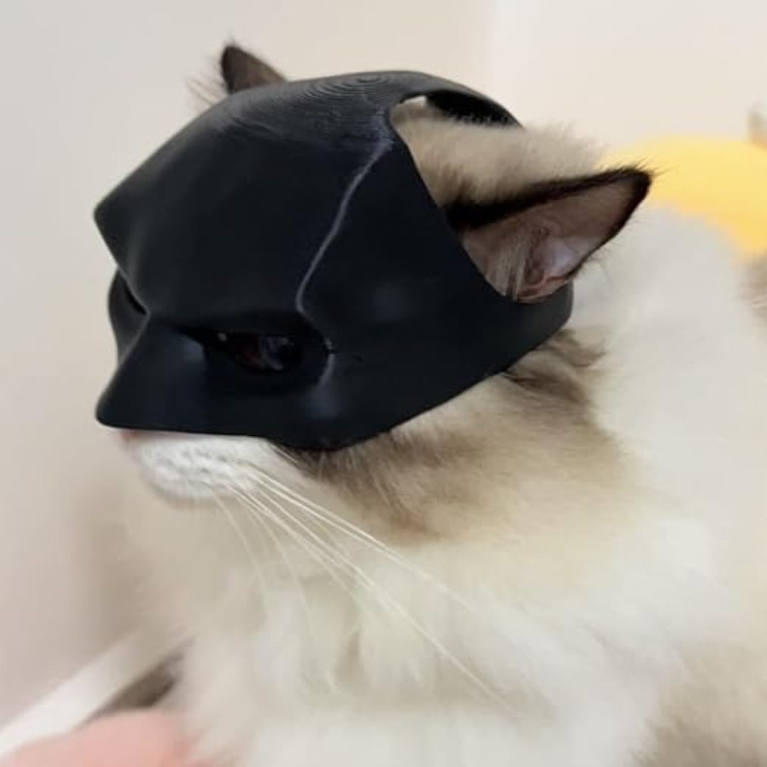 Heroic Cat Batman Mask – Perfect for Your Super Pet!